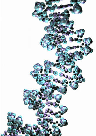 揭秘金融创新：不为人知的生物学逻辑－当代金融家